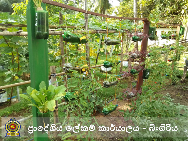 அலுவலக தோட்டம்